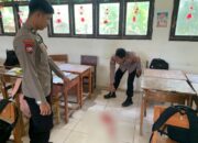 Siswa SMP di Pesisir Barat Meregang nyawa Usai Duel Maut